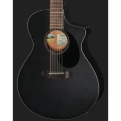 Breedlove Discovery S Conc 12-St CE BS