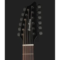 Breedlove Discovery S Conc 12-St CE BS