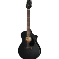 Breedlove Discovery S Conc 12-St CE BS