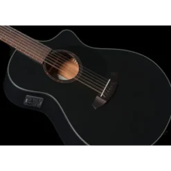 Breedlove Discovery S Conc 12-St CE BS