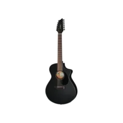 Breedlove Discovery S Conc 12-St B-Stock