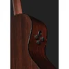 Breedlove Performer Pro Concert T CE(IR)