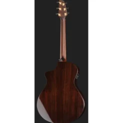 Breedlove Performer Pro Concert T CE(IR)