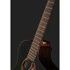 Breedlove Performer Pro Concert T CE(IR)