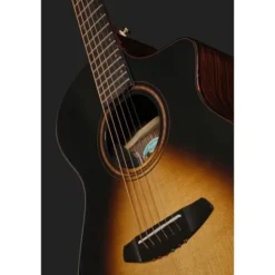 Breedlove Performer Pro Concert T CE(IR)