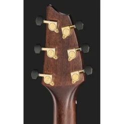 Breedlove Performer Pro Concert T CE(IR)