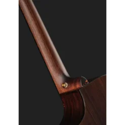 Breedlove Performer Pro Concert T CE(IR)