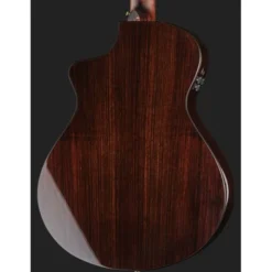 Breedlove Performer Pro Concert T CE(IR)