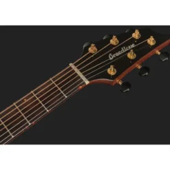 Breedlove Performer Pro Concert T CE(IR)
