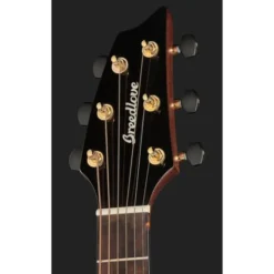 Breedlove Performer Pro Concert T CE(IR)