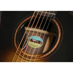 Breedlove Performer Pro Concert T CE(IR)