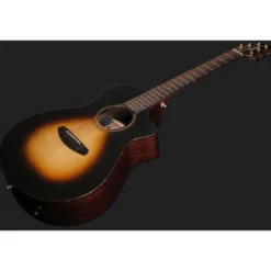 Breedlove Performer Pro Concert T CE(IR)