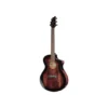 Breedlove Pursuit Exotic S ConcB-Stock