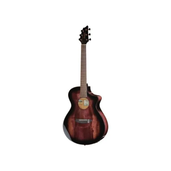 Breedlove Pursuit Exotic S ConcB-Stock