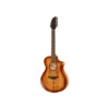 Breedlove Pursuit Exotic S ConcB-Stock