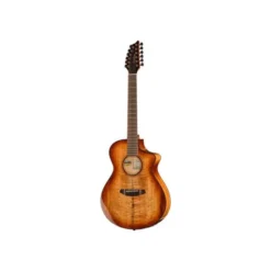 Breedlove Pursuit Exotic S ConcB-Stock