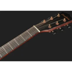 Breedlove Pursuit Exotic S Concertina CE
