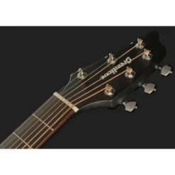 Breedlove Rainforest S Concert BG LH CE