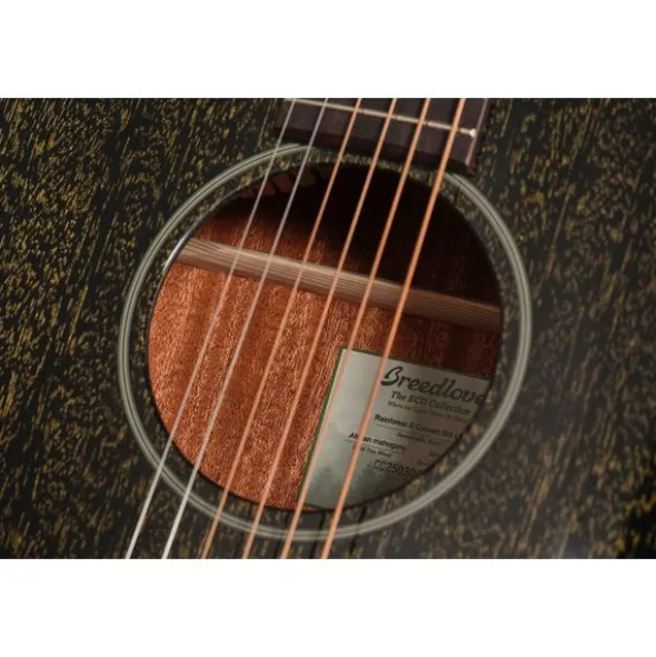 Breedlove Rainforest S Concert BG LH CE