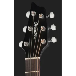 Breedlove Rainforest S Concert BG LH CE
