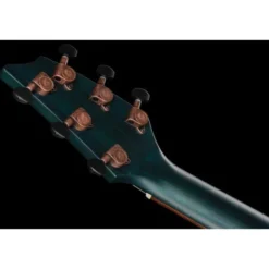 Breedlove Rainforest S Concert Papillon