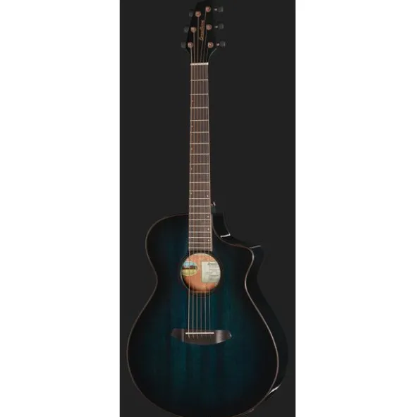 Breedlove Rainforest S Concert Papillon