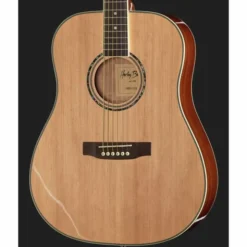 Brümmer Acoustic Guitar Set 1