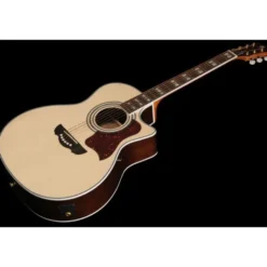 Brümmer Acoustic Guitar Set 3