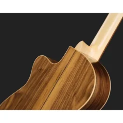 Carvalho Root CG S CE
