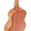 Cascha E-Concert Ukulele Premium Mah