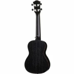 Cascha Premium Mahogany ConcertSet BK