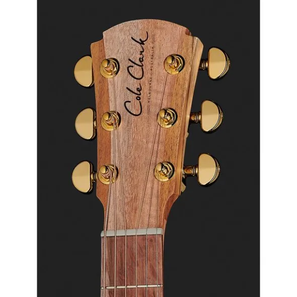 Cole Clark AN2EC-BLBL Angel
