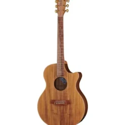 Cole Clark AN2EC-BLBL Angel