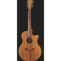 Cole Clark AN2EC-BLBL Angel