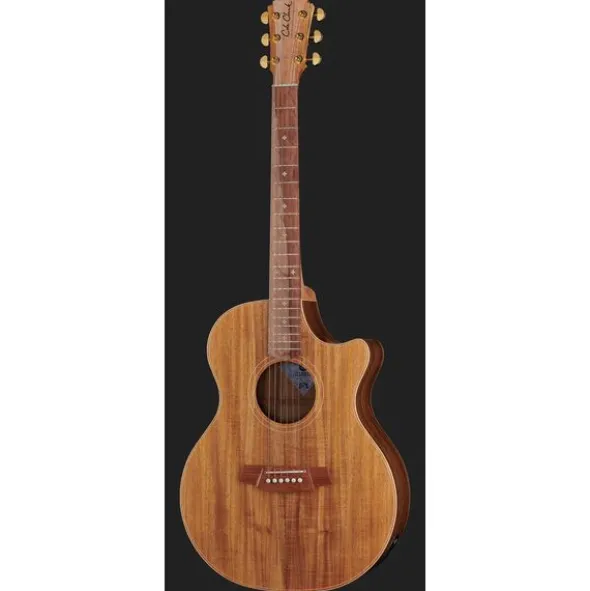 Cole Clark AN2EC-BLBL Angel