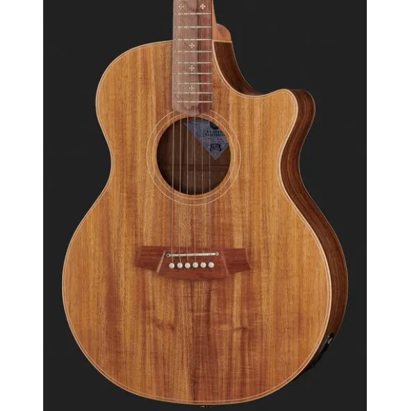 Cole Clark AN2EC-BLBL Angel