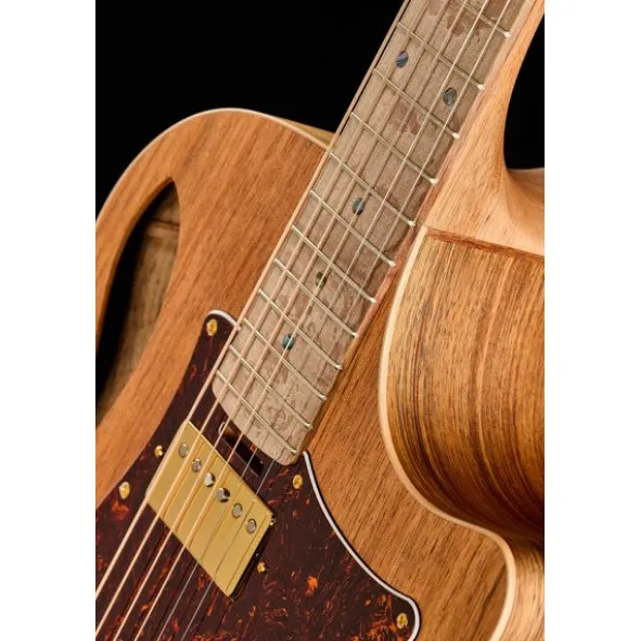Cole Clark AN2EC-BLBL-HH