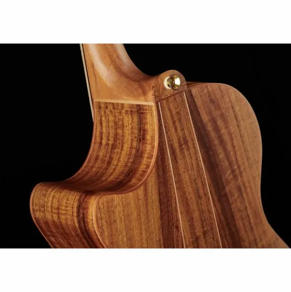 Cole Clark CCAN3EC-BLBL Natural