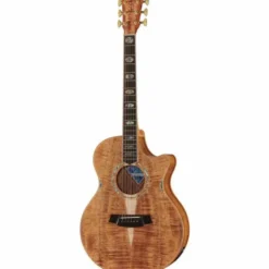 Cole Clark CCAN3EC-BLBL Natural
