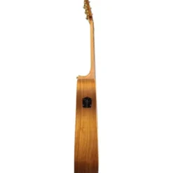 Cole Clark FL2EC-BLBL (AE)