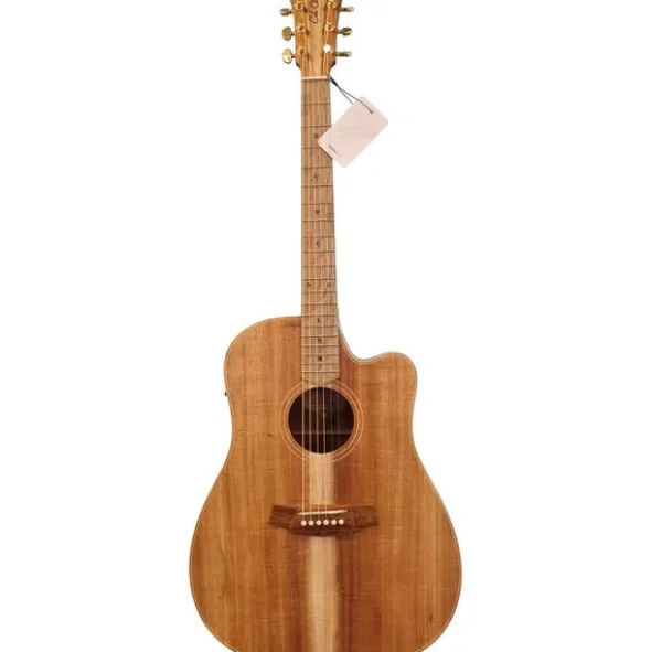 Cole Clark FL2EC-BLBL (AE)