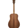 Cole Clark FL1-SSO