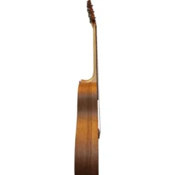 Cole Clark FL1-SSO