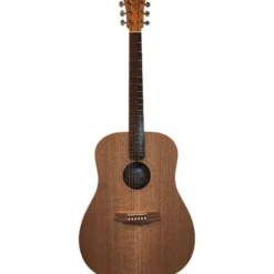 Cole Clark FL1-SSO