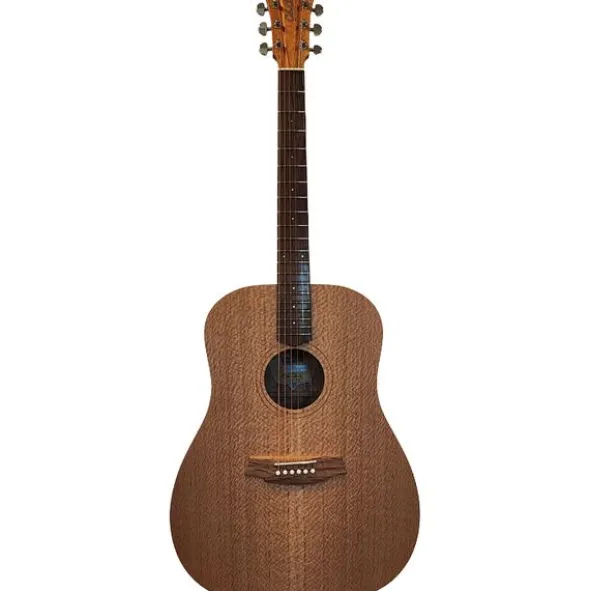 Cole Clark FL1-SSO