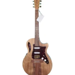 Cole Clark TL2EC-BLBL-HSS (AE)