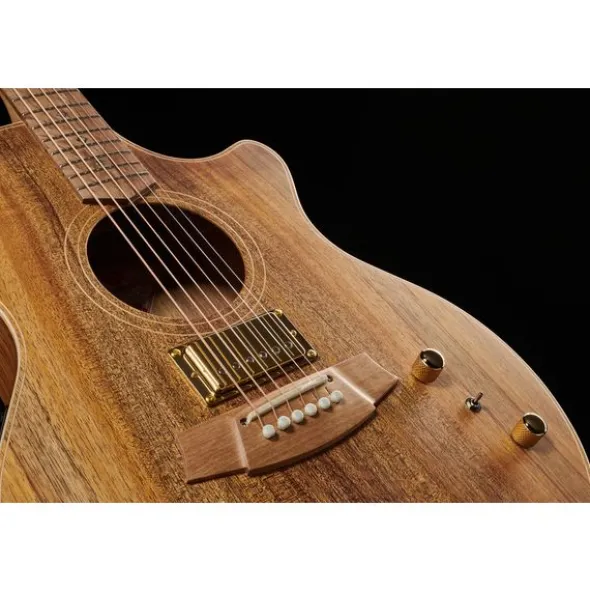 Cole Clark TL2EC-BLBL-HUM