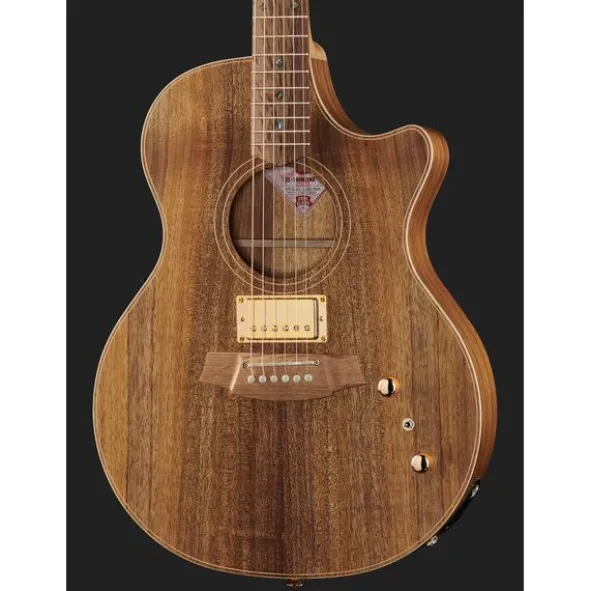 Cole Clark TL2EC-BLBL-HUM