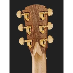 Cole Clark TL2EC-BLBL-HUM