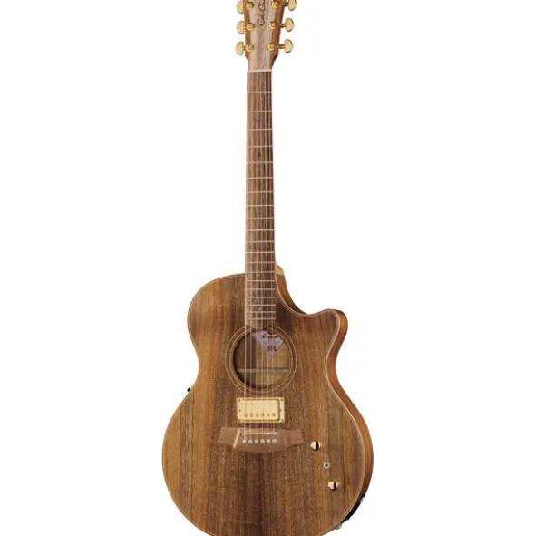 Cole Clark TL2EC-BLBL-HUM